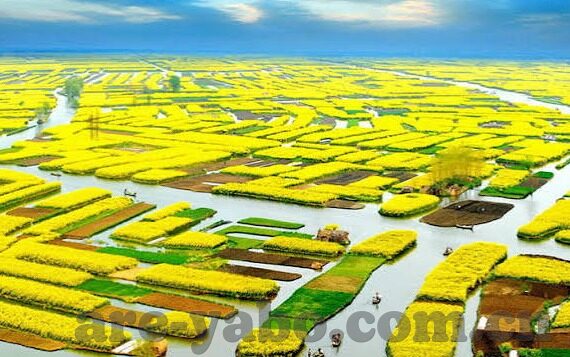 开云app下载安装-解锁数字新视界，开云app的便捷下载安装之旅